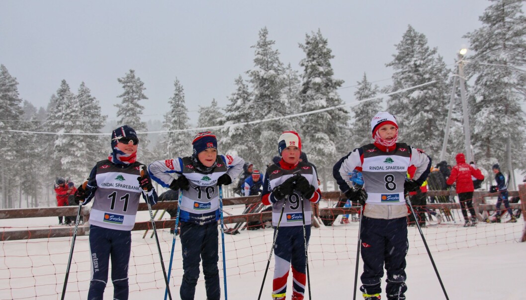 Skiløpere i klassen G 9 år. Nr 11 - Elian Holmvik, Byåsen IL, nr 10 - Erik Johannes Midtflå Jønland, IL Leik, nr 9 Hans Peter Brøndbo Haugan, Meldal IL og nr 8 Peder Sande, Rindal IL. Skiløpere i klassen G 9 år. Nr 11 - Elian Holmvik, Byåsen IL, nr 10 - Erik Johannes Midtflå Jønland, IL Leik, nr 9 Hans Peter Brøndbo Haugan, Meldal IL og nr 8 Peder Sande, Rindal IL.