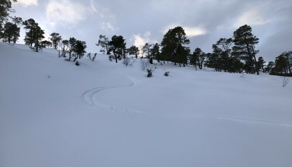 Perfekt preppa, herleg pudder og mykje glade folk i bakken