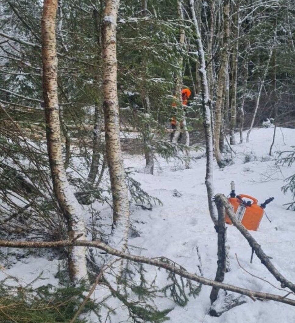 Grunneierne er i full gang med å rydde trasé for graving.
