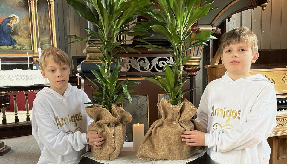 «Såmennene» Harald og Einar kom tilbake med store plantar – ein rik vokster etter såinga under bibeltablået! «Såmennene» Harald og Einar kom tilbake med store plantar – ein rik vokster etter såinga under bibeltablået!