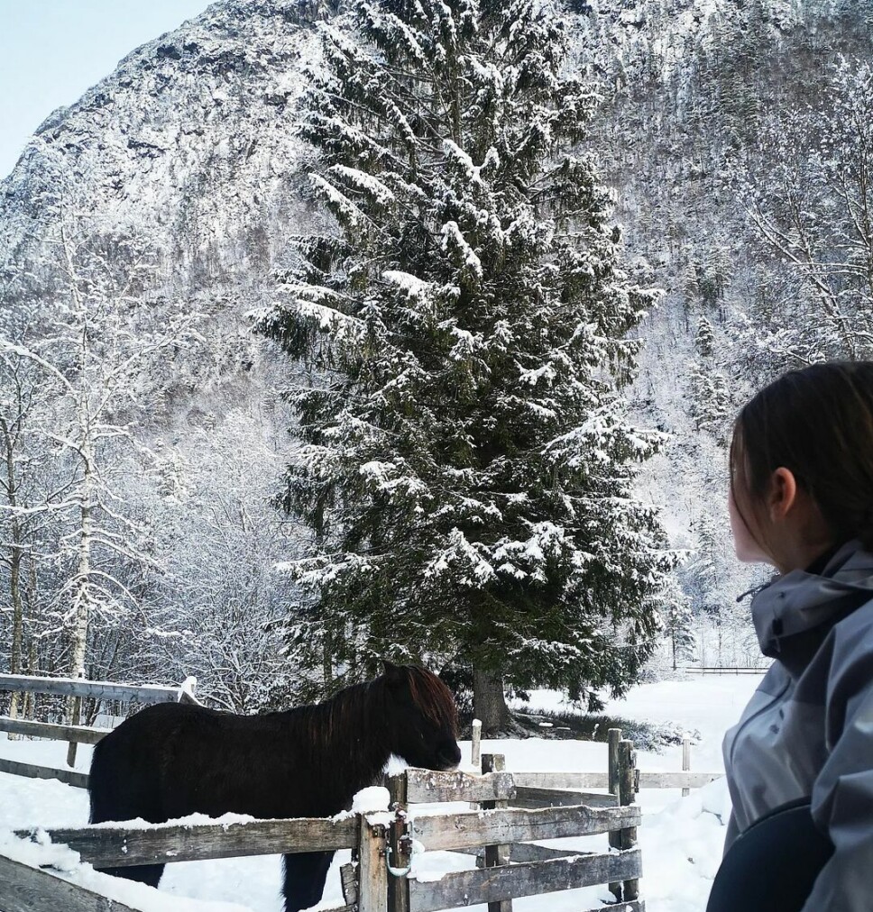 To gode venner 🥰 Stall Åsbøen er det gøy å være 🐴🐎 To gode venner 🥰 Stall Åsbøen er det gøy å være 🐴🐎
