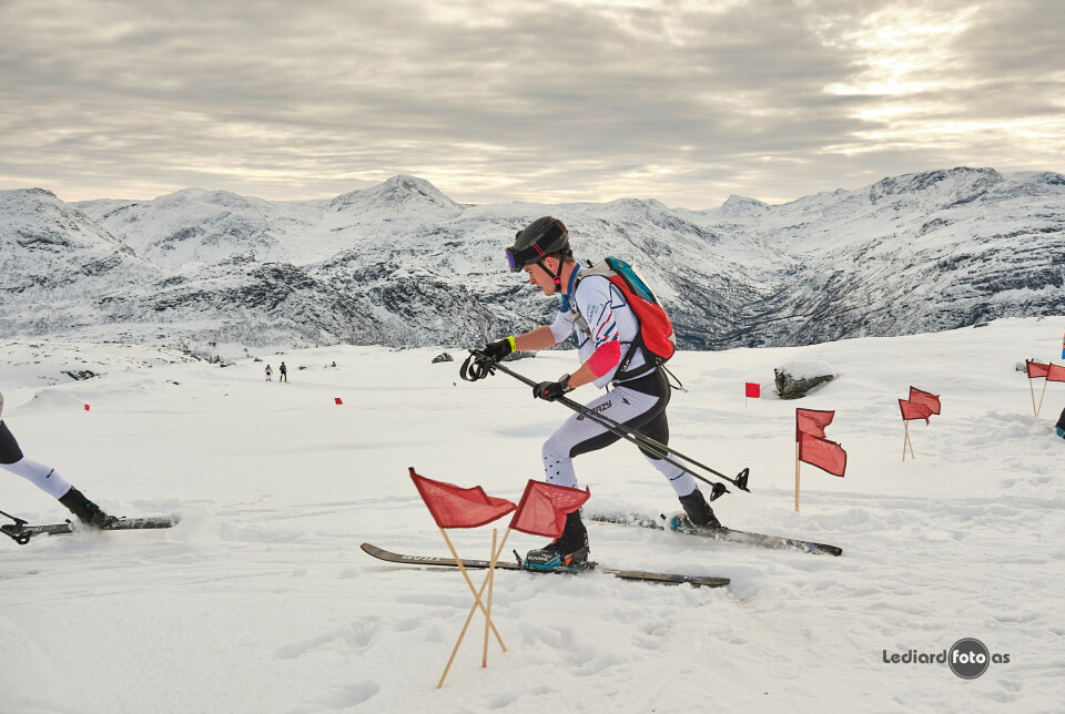 En mann på ski i randonee-utstyr på fjellet, i ei løype merket med små røde flagg.