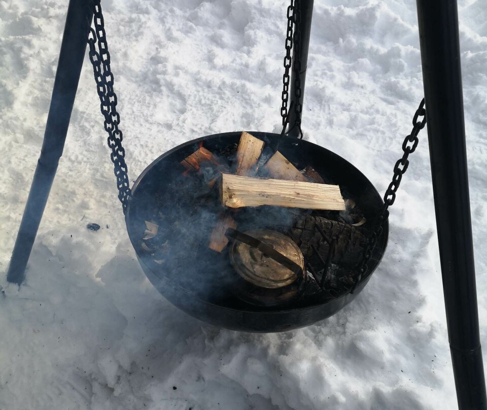 Vårsøg 4H selger ved