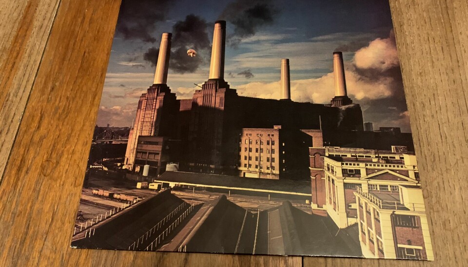 Platecover albumet Animals av Pink Floyd frå 1977