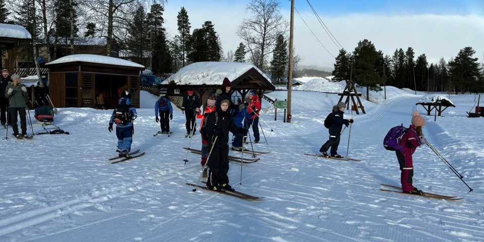 Mange barn på ski, klare til å begynne å gå.