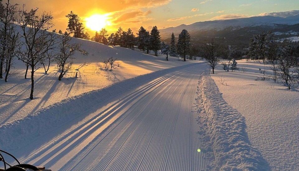 Løypa opp til Garbergsfjellet 8. mars. Nypreparert skiløype i solnedgang. Bakre del av ei tråkkemaskin, fjell-landskap med snø, trær, fjell, lav sol og litt skyer på himmelen.
