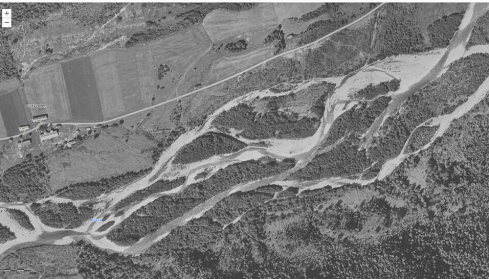 Gravvold i 1963: Bævra er kjent for å skifte løp ofte, og hadde den gang mange løp over det som i dag er innmark.