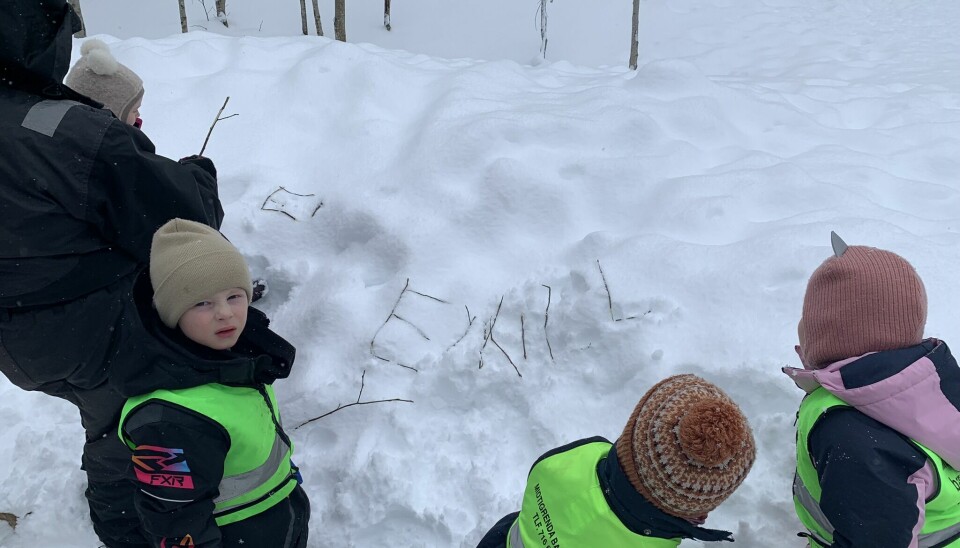 Alle barnehagar og skular i Surnadal kommune tek del i læringsløypa 'språk og skriving' saman med dei andre kommunane i Nettverk Nordmøre. Her har Eiril skrive namnet sitt med pinnar i snøen.