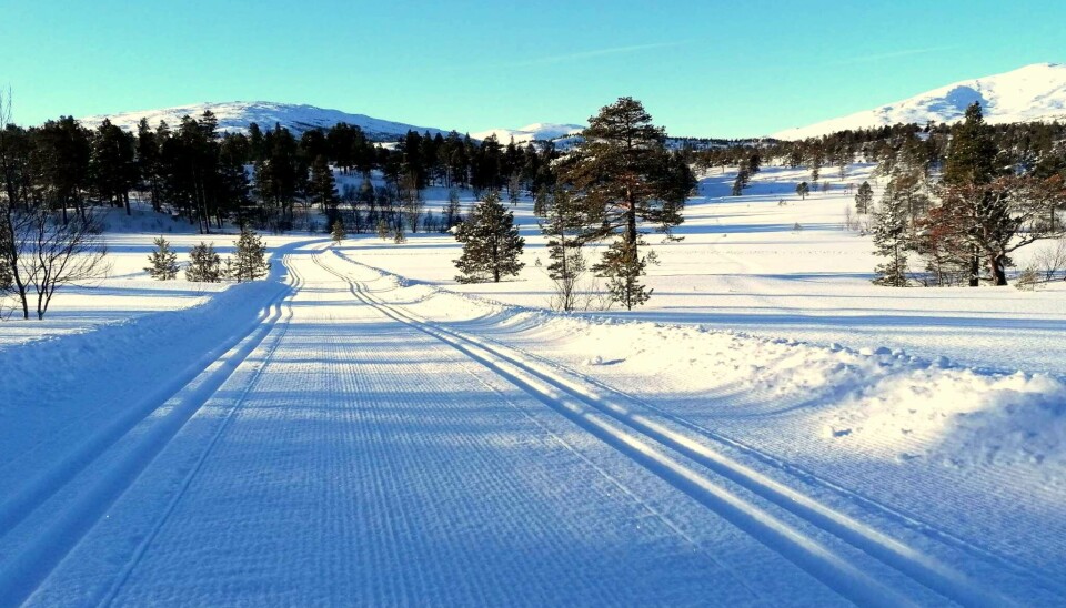 16.03. Helgetunmarka torsdag morgen Nyoppkjørt skiløype, to spor og skøyteområde