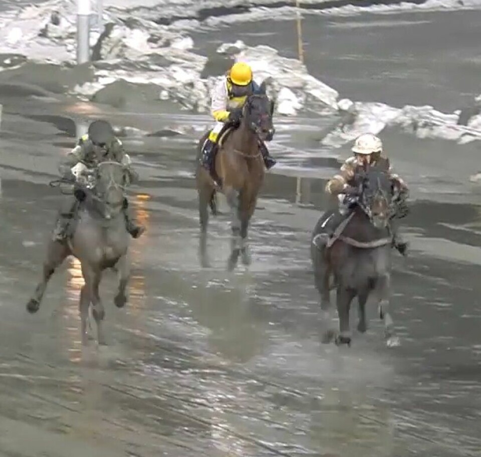 Tre hester med rytter i trav på løpsbanen. Det er vått på banen og litt snø.