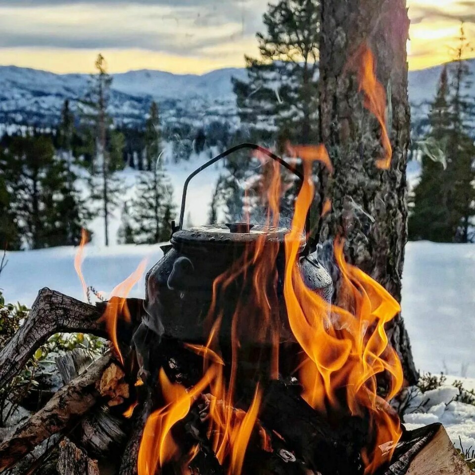 En svartkjel på et brennende bål i skogen, med snø og fjell i bakgrunnen