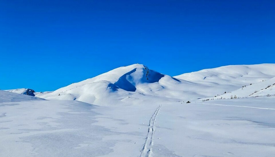 Masse snø i fjellene. Vi ser toppen i det fjerne med blå himmel bak og ett skispor mot toppen.