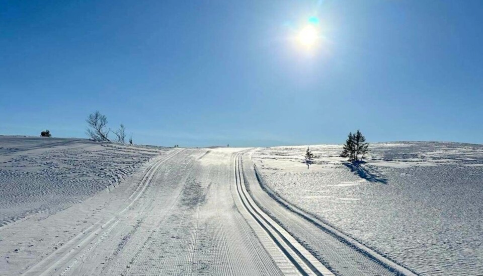 sol over skiløype