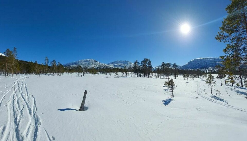Snø på fjellene, blå himmel og sol. Skispor i snøen
