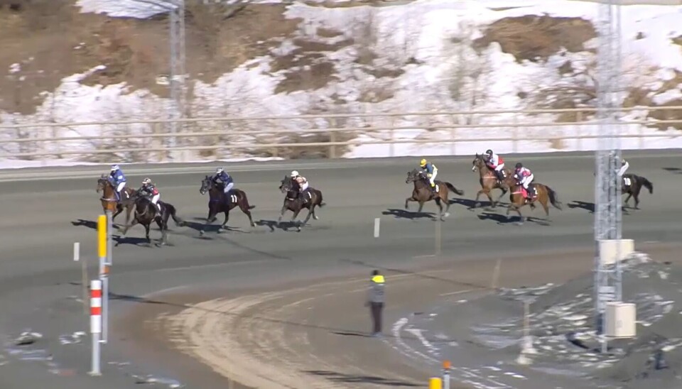 Danny Delight ble nr 5 i sitt løp lørdag. Flere hester med ryttere i konkurranse på en travban