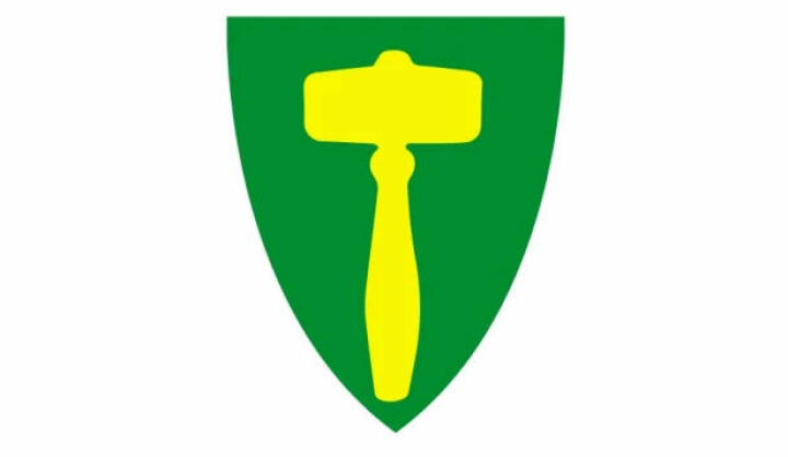 Kommunevåpenet til Rindal kommune. Ei gul ordførerklubbe på grønn bunn.