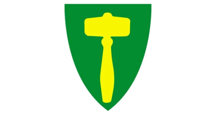 Bedrifter i Rindal kan søke om tilskudd til sommerjobb for ungdom Kommunevåpenet til Rindal kommune. Ei gul ordførerklubbe på grønn bunn.
