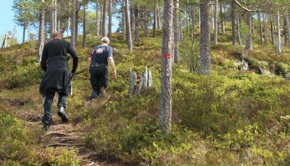 Sluttdato for Småtrollturen og Fjelltrimmen