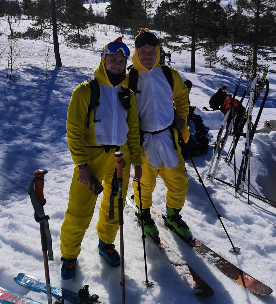 To menn i påskekylling-kostymer på ski i fjellandskap