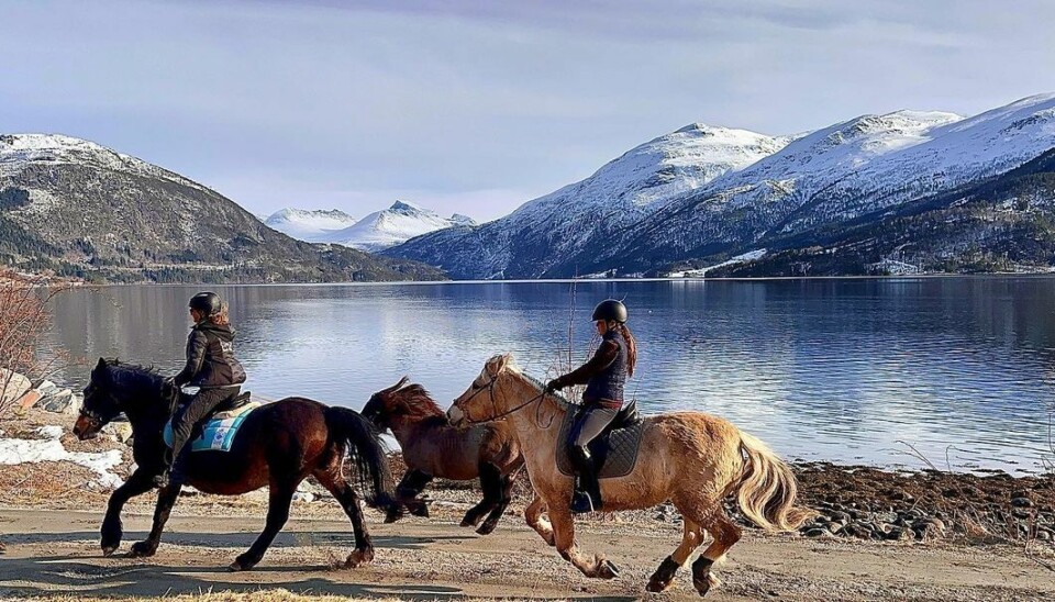 Livet på hesteryggen😍 Frida i farta sammen med Silje som har Stall Åsbø, kjempeopplegg🤩 Livet på hesteryggen😍 Frida i farta sammen med Silje som har Stall Åsbø, kjempeopplegg🤩