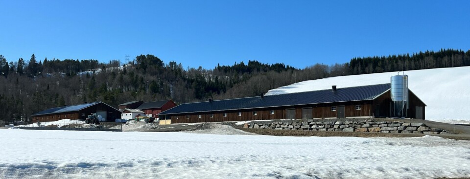 En gård med to fjøs av nyere dato. Snø, sol og blå himmel.