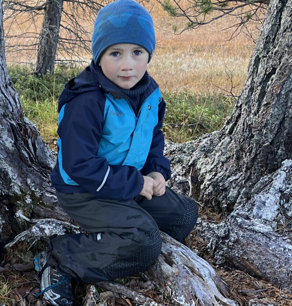En ung gutt sitter på et tre ute i skogen