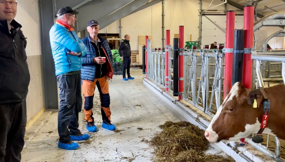 Folk som kikker på nyfjøset.