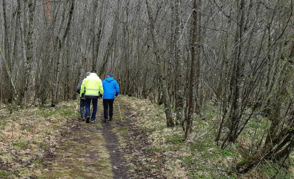 Tre personer med ytterklær gående på en sti i skogen.