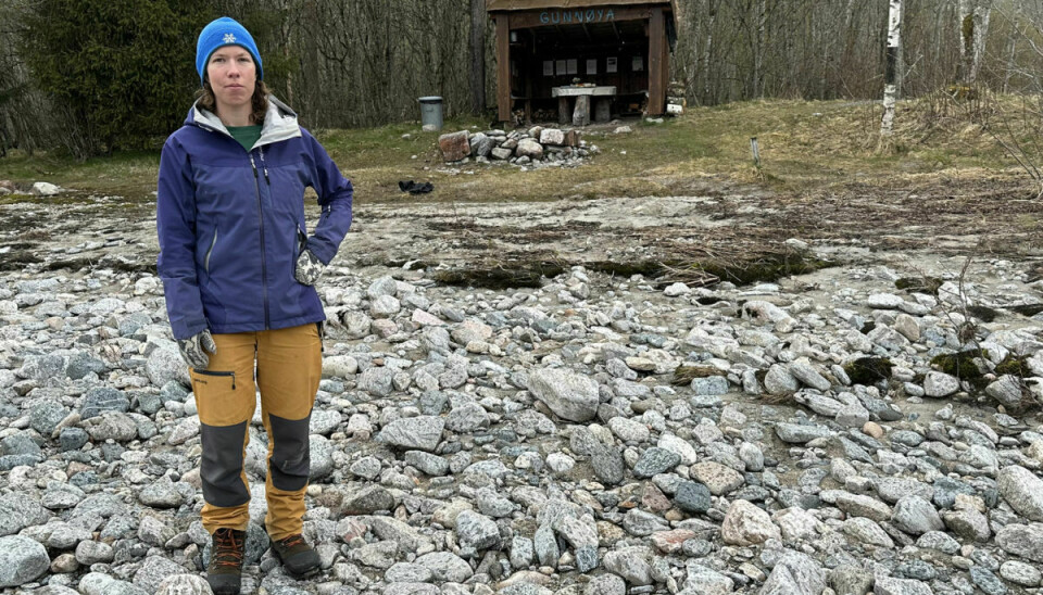 Siv Halle fann spissen på elveøra rett nedafor gapahuken i Gunnøya.