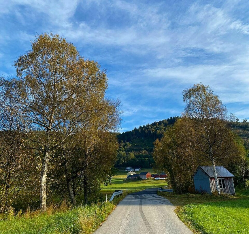 En landevei med grønn plen på begge sider og trær langs vegen. Blå himmel