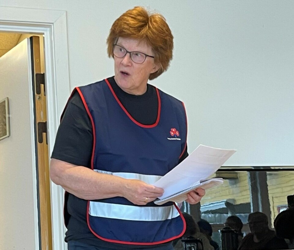 Anne Elin H. Brønstad