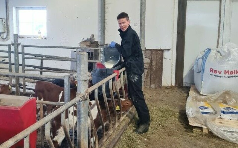 Emil Børset gir kalvene melk.