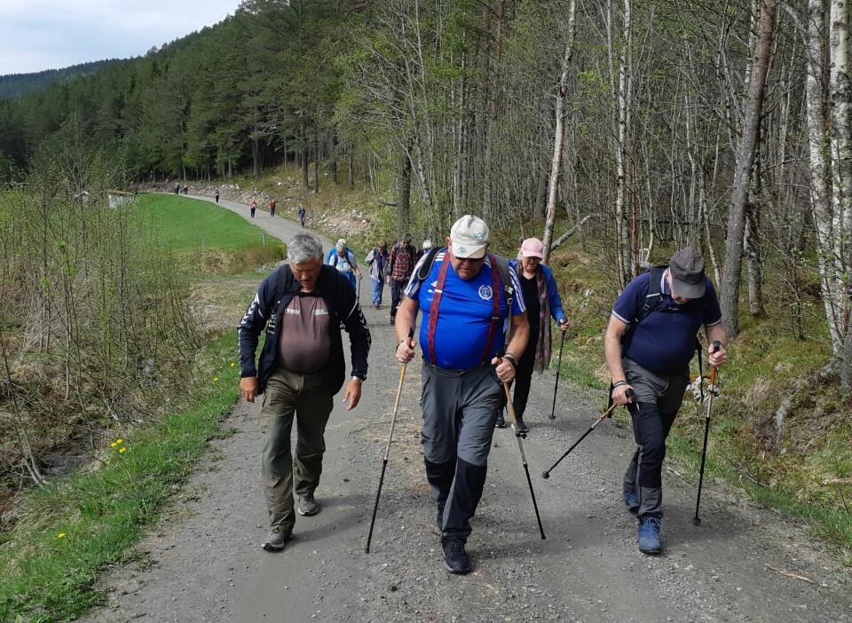 Ei gruppe turkledde pensjonister, noen med gåstaver, som går oppover en skogsvei.