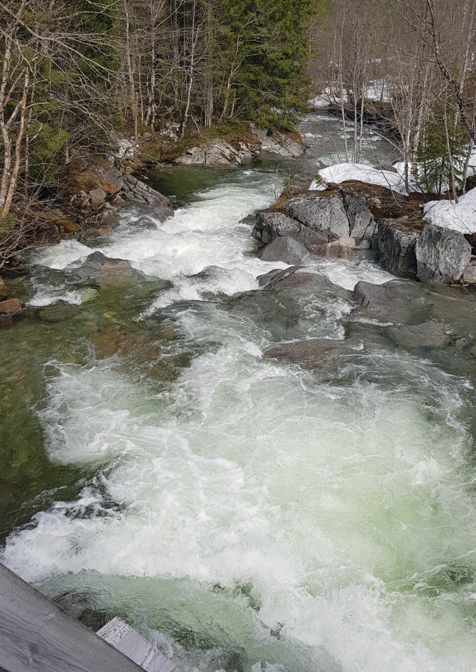 Vann renner nedover en elv med mye steiner og trær rundt