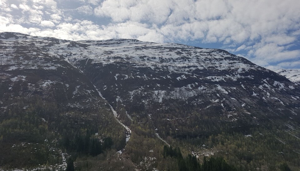 Et fjell med granskog nederst