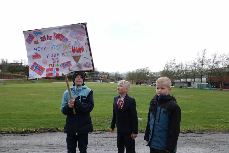 3 små gutter holder en fane med norske flagg hvor det står 'hipp hipp hurra'