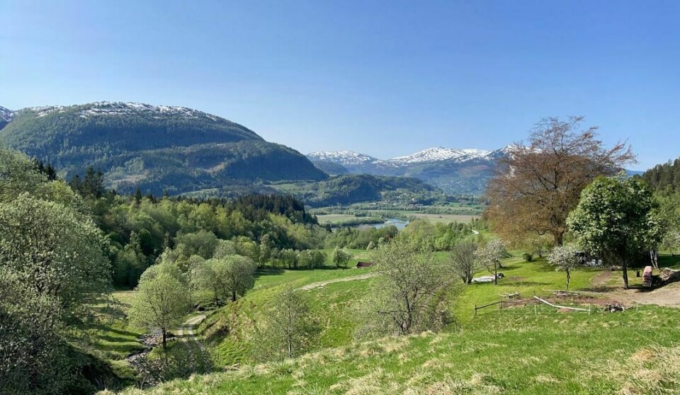 Bilde av utsikten over Surndal med grønne plener, blå himmel og snødekte fjell