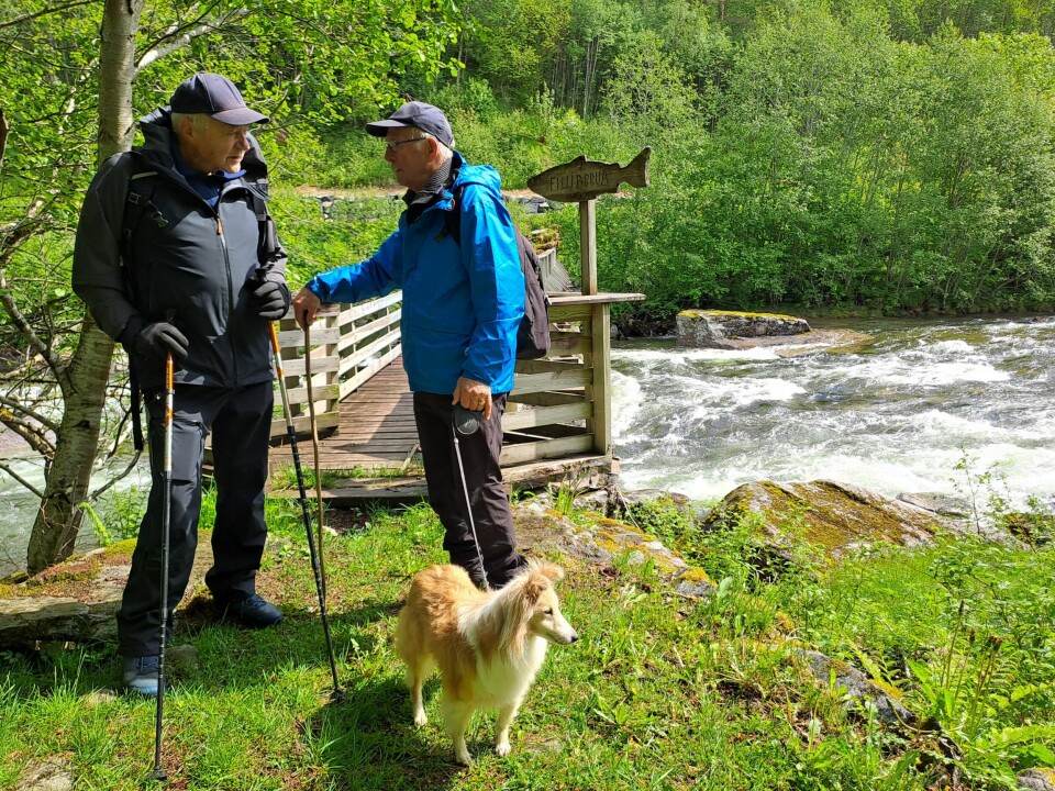 To menn og en hund ved ei lita gangbru over ei elv.