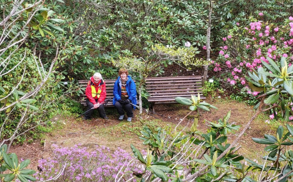 To damer på en benk, omgitt av flere typer blomstrende rhododendron.