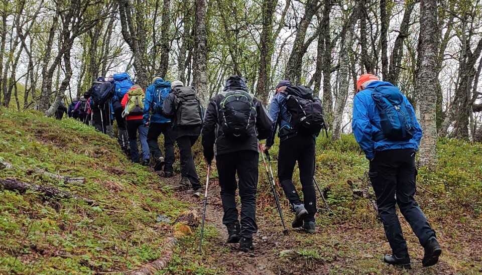 Fra tur opp til Sigridfallet. (bilde tatt ved en tidligere anledning) På tur oppover i bjørkeskogen.