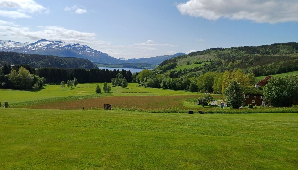 Grønn golfbane med fjell i bakgrunnen og blå himmel