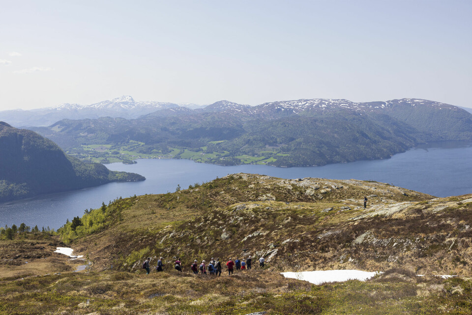 Nedturen med flott utsikt gjekk lett for Fjellgruppa