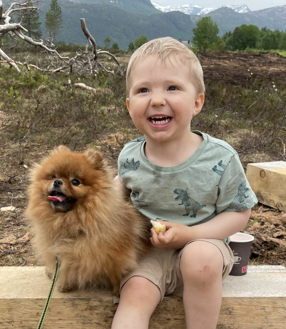 En blid liten gutt og en hund sitter på en planke.
