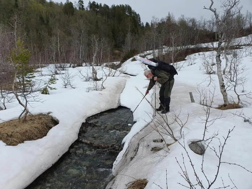 Fotokonkurransen 'Uteliv': Stem på ditt favorittbilde!