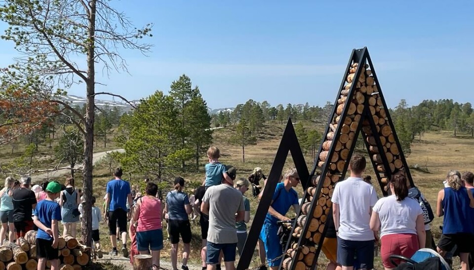 Små og store kikker på trollet på myra