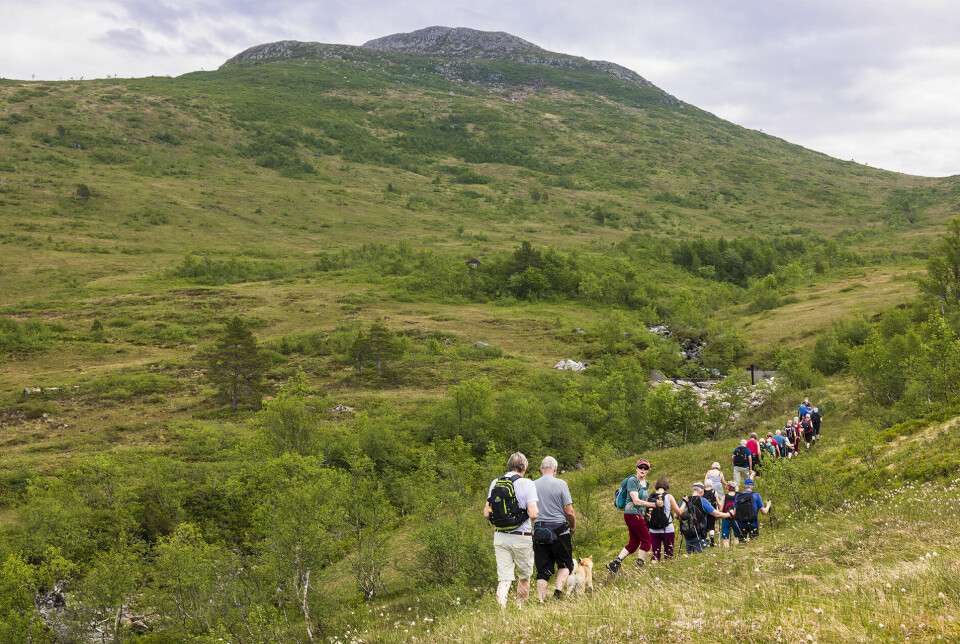 Ei rad med folk som går på en sti over ei myr i retning en liten fjelltopp.