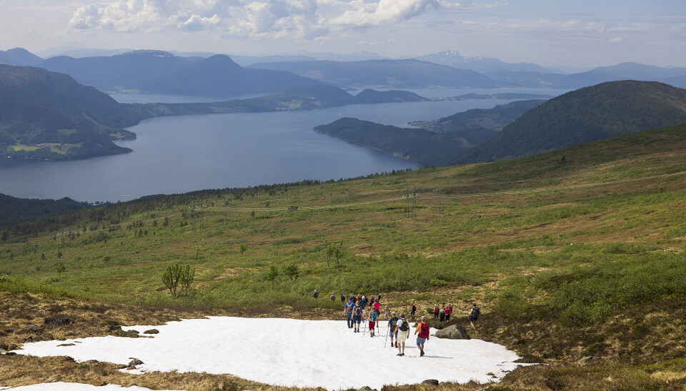 Ei gruppe på nærmere 30 turkledde pensjonister med ryggsekker på veg over ei lita snøfonn som ikke har smelta bort enda. Fjord og fjell i bakgrunnen.