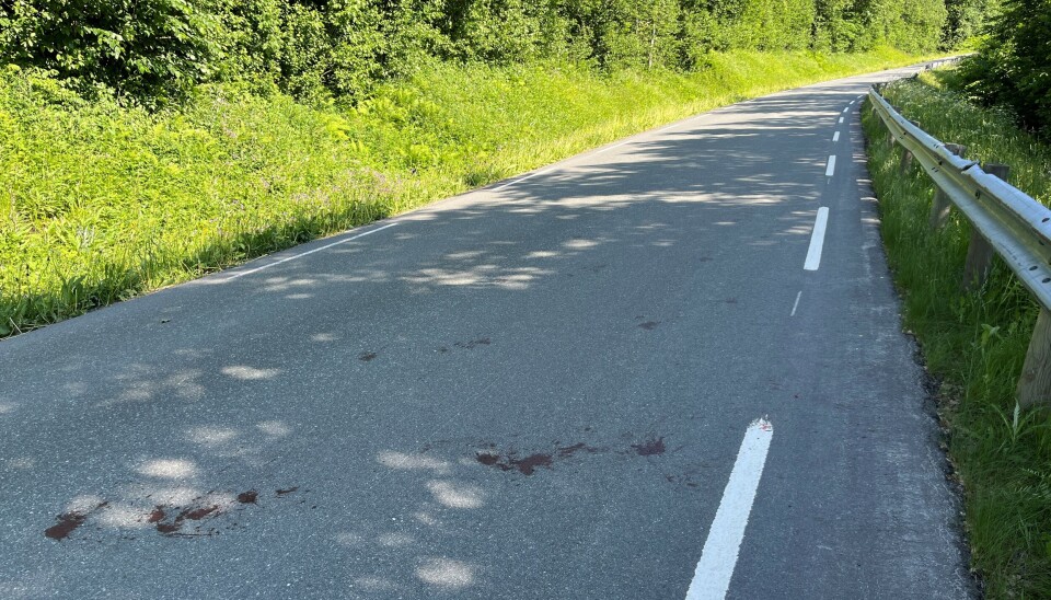 Det var ganske mye blod på vegen. Det skadde dyret lå i vegkanten nedenfor autovernet. (Bildet er tatt 3-4 timer etter hendelsen, så blodet har tørka inn litt.) Blodflekker på en asfaltert veg
