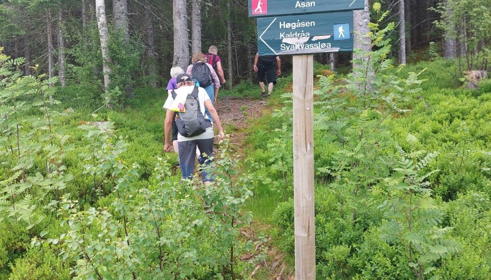 Mennesker går på en tursti på veg inn mot skogen