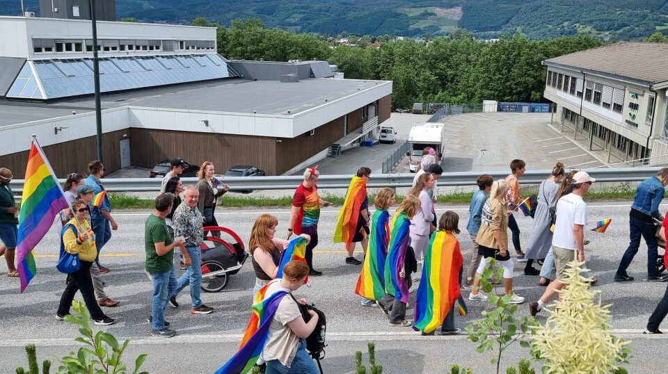 Mennesker kledd i fargerike klær og regnbueflagg går langsveien i en parade